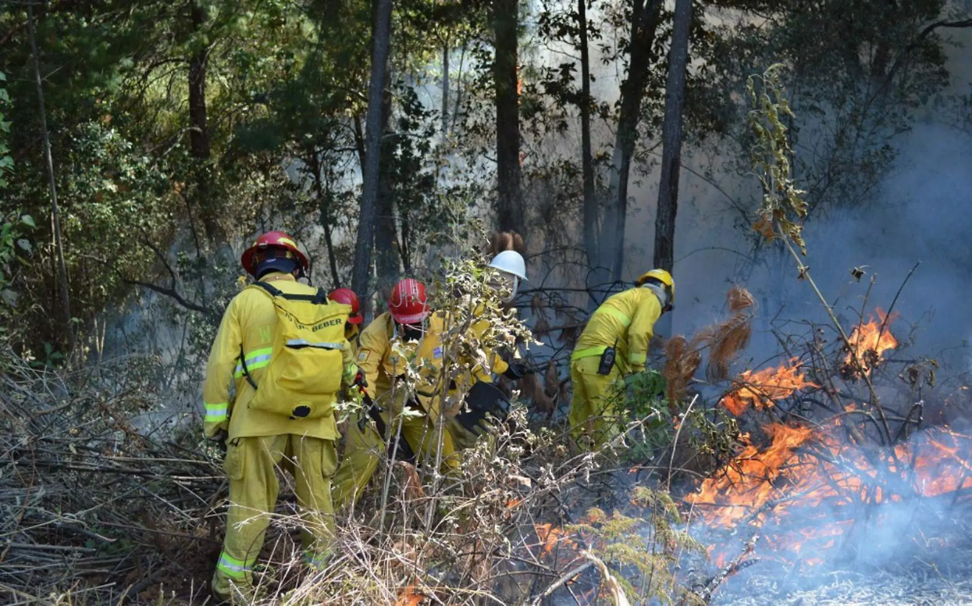 MORELIA4 PCE llama a prevenir incendios forestales